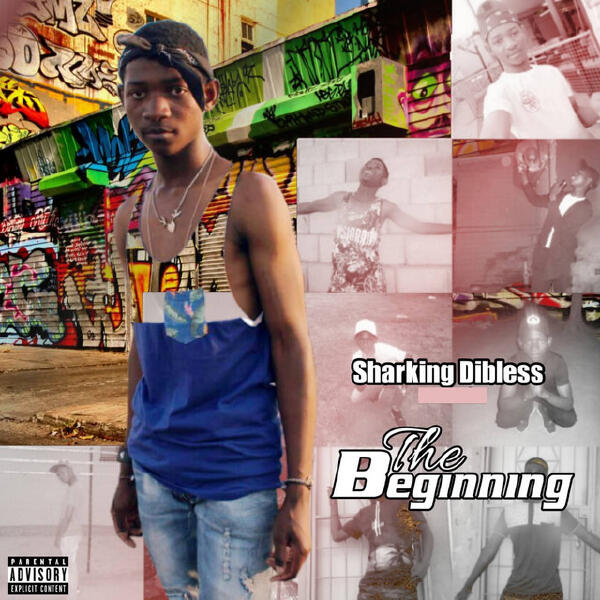 DJ SMASH, Sharking Dibless - Better Days