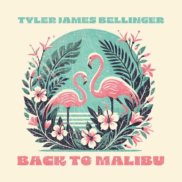 Tyler James Bellinger все песни в mp3